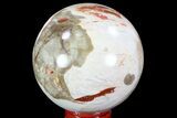 Colorful Petrified Wood Sphere - Madagascar #82740-1